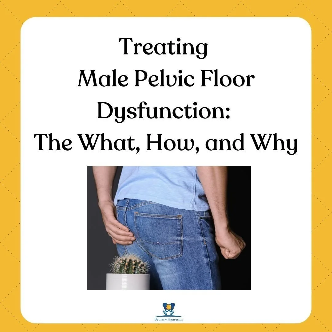 Male Pelvic Floor Dysfunction and Pain Cactus