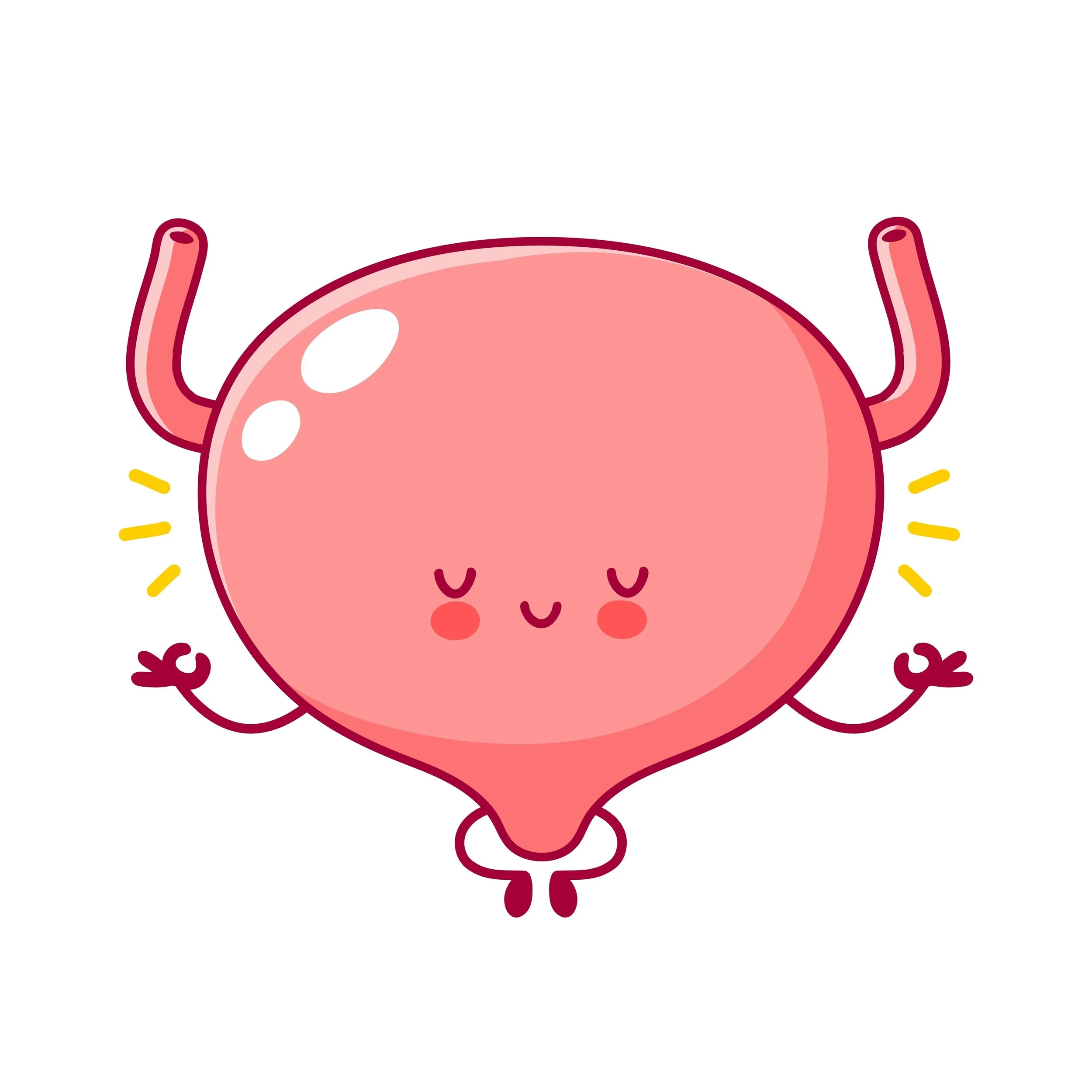 happy bladder graphic