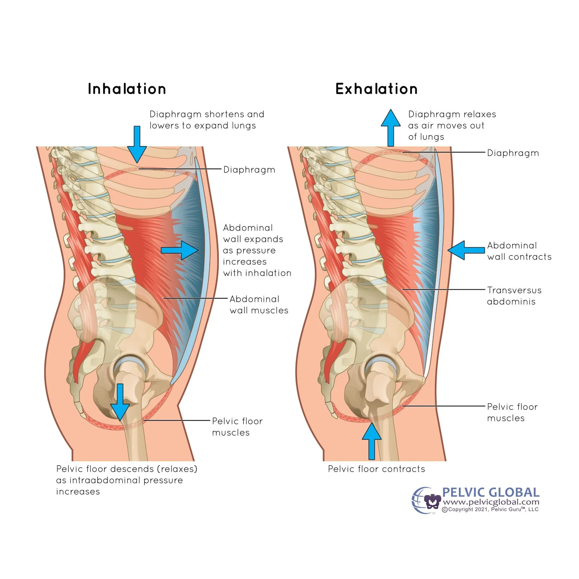 diaphragmatic breathing postpartum cesarean birth recovery