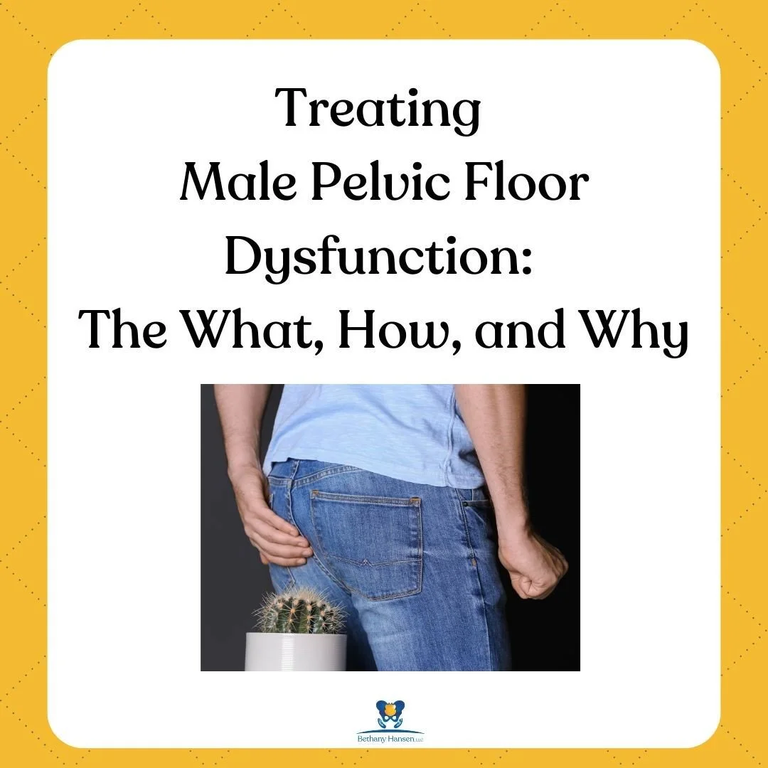 Treating Male Pelvic Floor Dysfunction: The What, How, and Why, Bethany Hansen PT blog