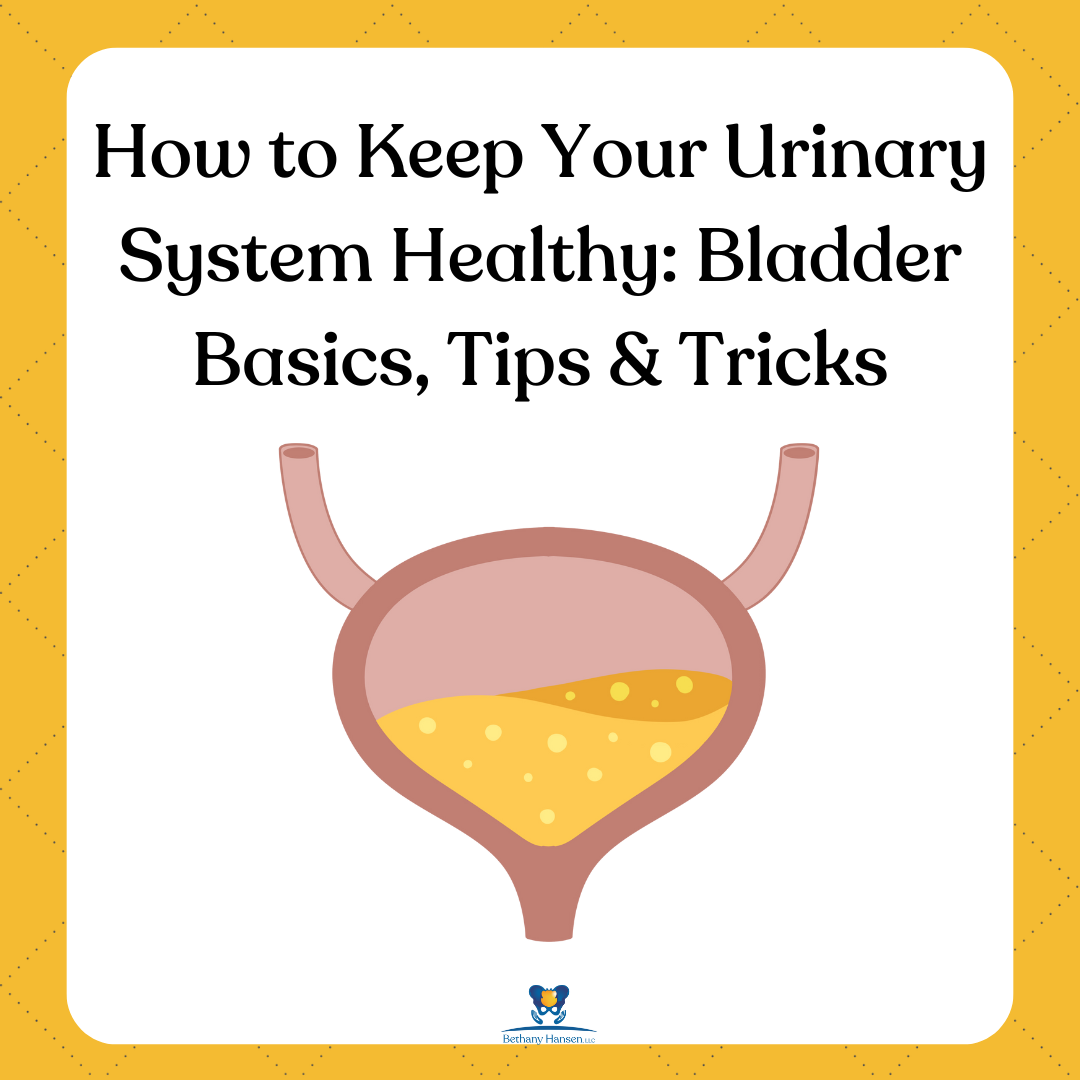 How to Keep Your Urinary System Healthy: Bladder Basics, Tips &amp; Tricks