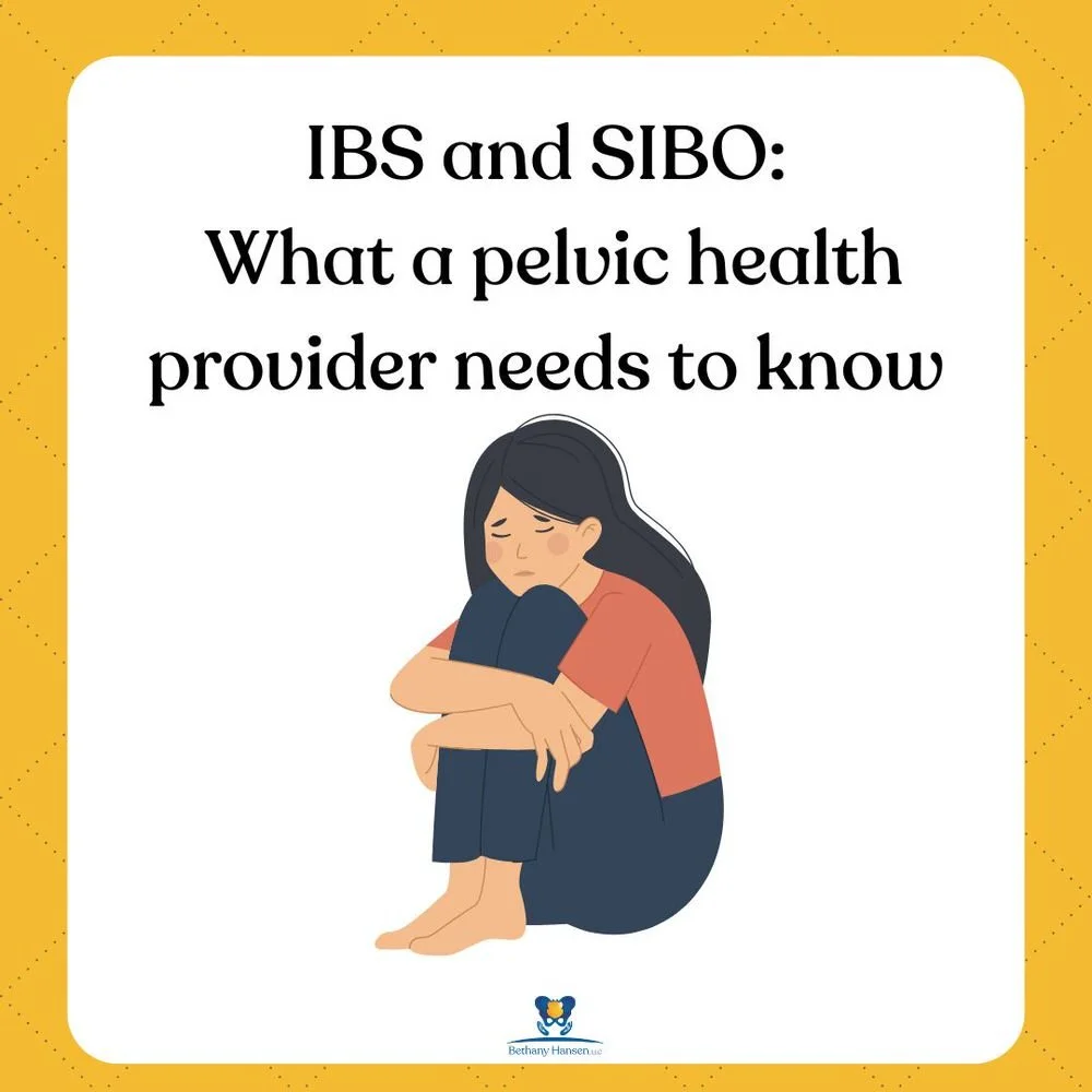 IBS and SIBO: What a Pelvic Health Provider Needs to Know, Bethany Hansen PT blog