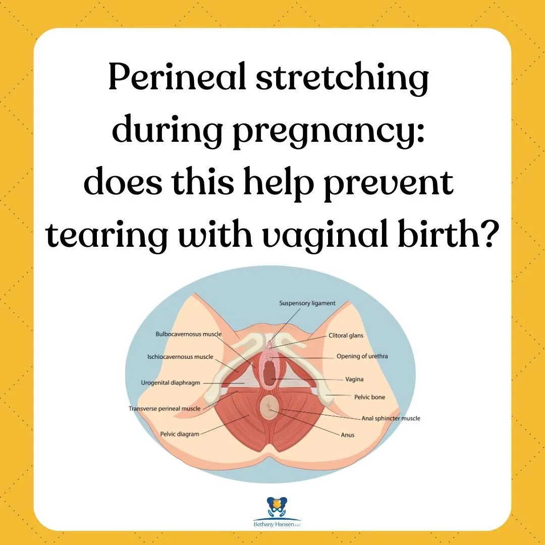 Perineal Stretching During Pregnancy, Bethany Hansen PT blog