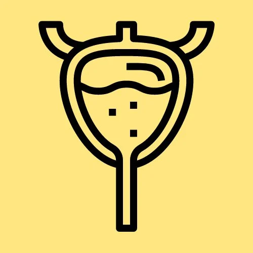 bladder dysfunction pelvic floor physical therapy