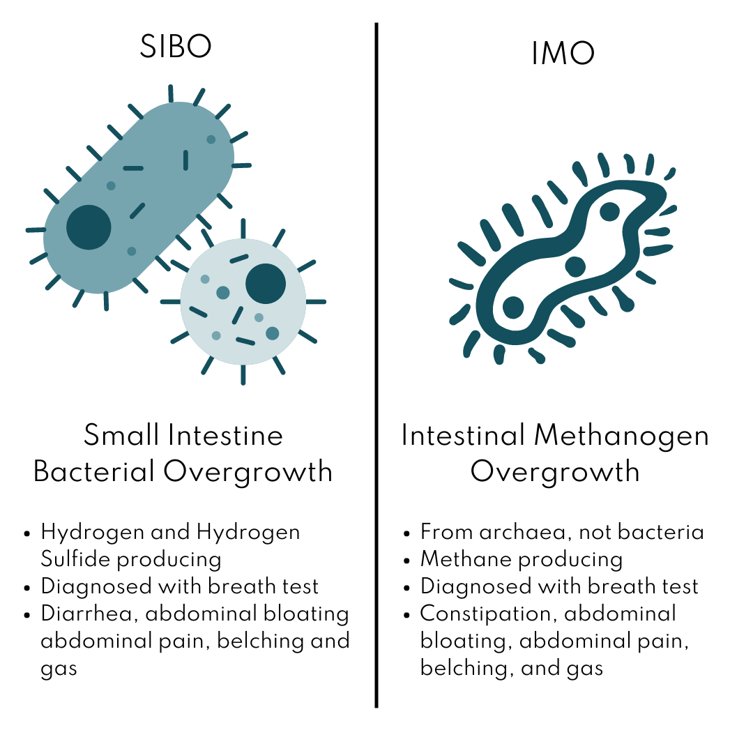 IBS, SIBO, and pelvic health, Bethany Hansen PT