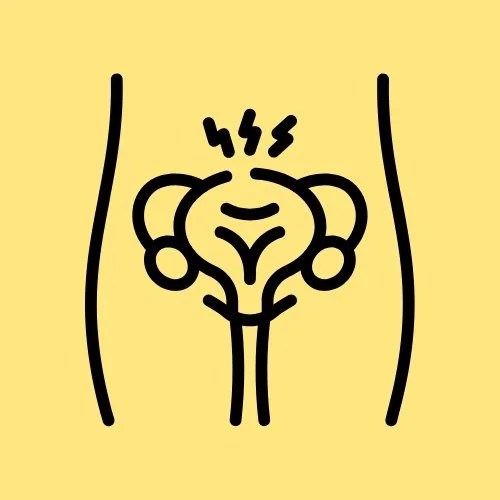 Pelvic organ prolapse, pelvic floor physical therapy in Edina, MN